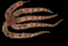 unlockin 1733735760793431793.jpg