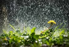 6236006531667748342966433877