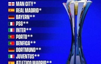 elaosboa90123 11486045572