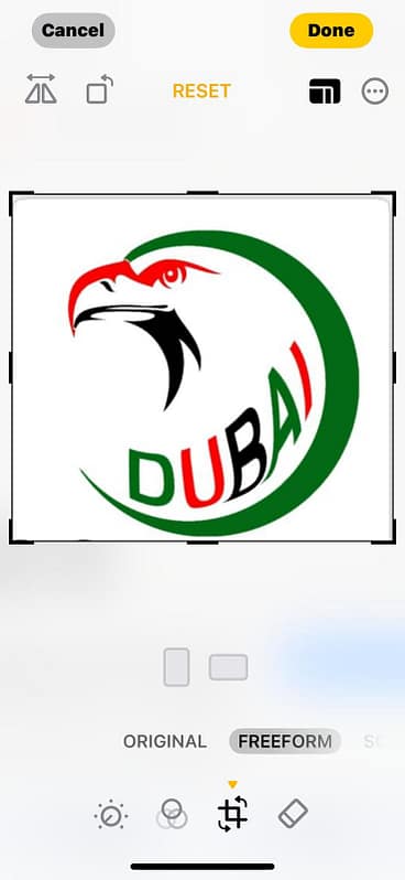 397354 1 1742581870542511494