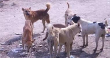 201810050217131713526715402