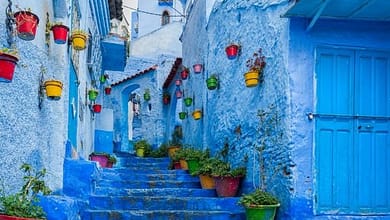 نص فقرتك 2024 05 01t040521.2061171213437