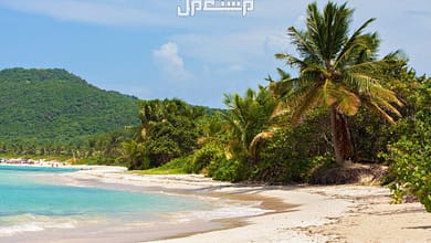 أفضل 10 وجهات سياحية في العالم 2025 كوليبرا، بورتوريكو237761864