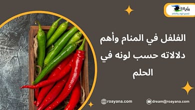 الفلفل في المنام1730937610