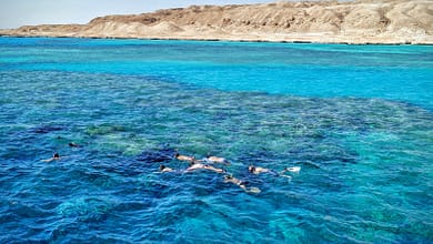 محمية رأس محمد في مصر416532417