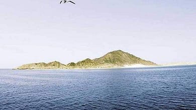 17820609851730716001559884158