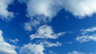 18659820141666278955390401018