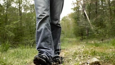 21310517917303747661038075018