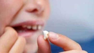 91791920216582617291365122906