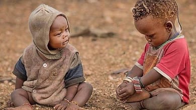 d698d2297a52f10a39fd47451b97eb041384549385