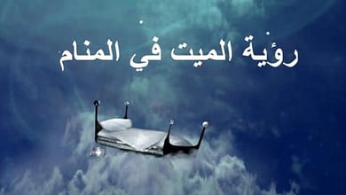 e101a0c0 8246 4e94 a9b1 42dd1bc07a4b751957556