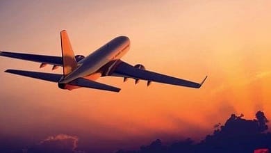 elaosboa27509636603871