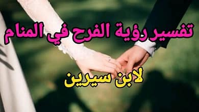 elaosboa536481411607792