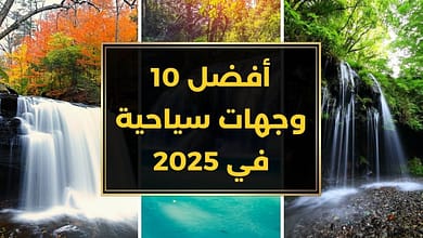 maxresdefault393084885