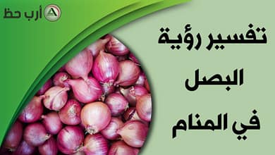 onions in dream1659195123