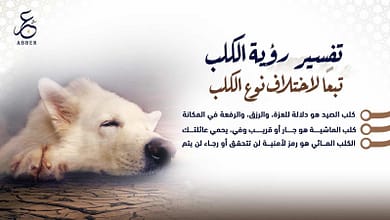 ytrzym2065660770.jpg66490275697a52065660770