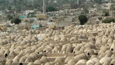 18059881204262024121906245524551610625562