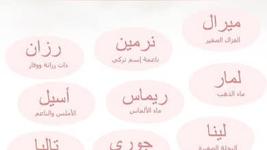 3d572305e7edfca6632d5d133292effa1289667286