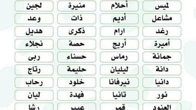 53b1e6dd465fa56e3bd29263f56a8f84410345070