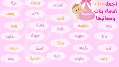 6bd5f01e29ec7df5d04fbf4559572779305035652