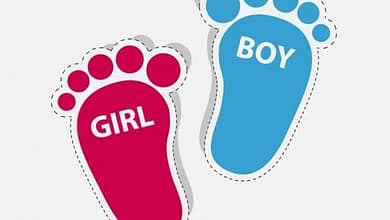 779447896 h 1024x700 1 660x330803454434