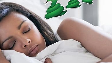 81afaab1 ab97 4dc6 af55 f02b08740d79730628939