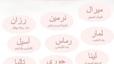 97a2369eec7812fe6c5d25ec7fa27194621722678