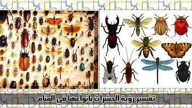 ab959cac 02ec 45db 9d15 75ba7c48035d826649108.jpg664fbc34cfab4826649108