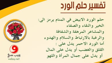 dream roses1072521205