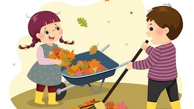 edd3e3ff1e4276e0478d272cb798e81f1425555544