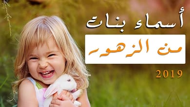 maxresdefault1662703520