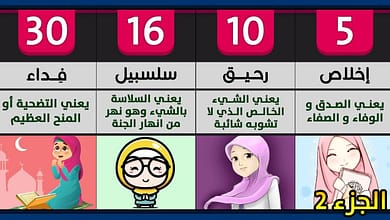 maxresdefault523280825