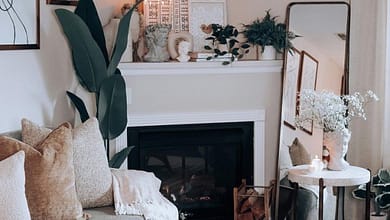 pexels matu randall 279245978 16968141137960403