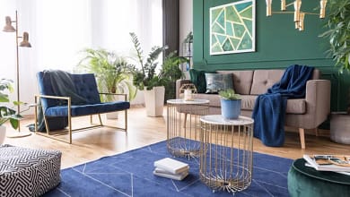 shutterstock 1255133293 01692220717.jpg