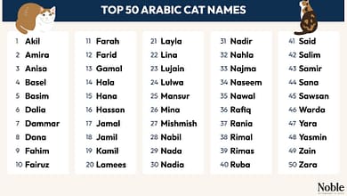 yvzpb6nzgbgvkxizpce8wn4gpzq328339390