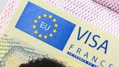 1894caee 0570 4804 9e1a e325fc12116f2019377701