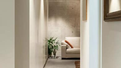 5622976 1360702993190825662.jpg