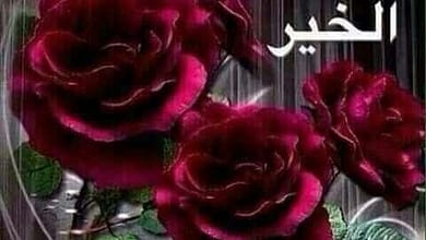 e487a4245debfe9843597fffb83ef4211545608036