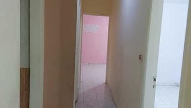 realestate شقة إيجار سكنى شارع الدراسات الرئيسي برج أسانسير 120230630351301726401865