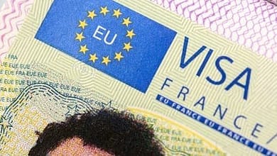 1894caee 0570 4804 9e1a e325fc12116f2019377701