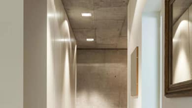 5622976 1360702993190825662.jpg