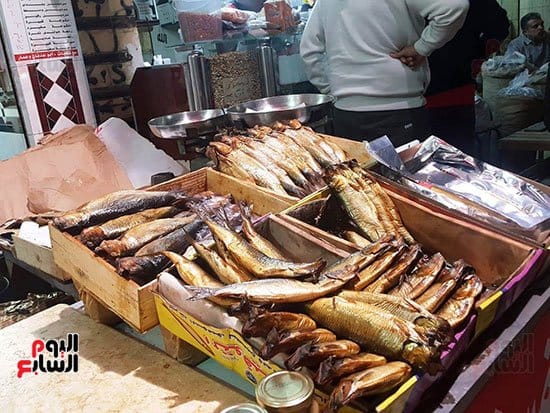 94432 فسيخ نبروة فى الدقهلية (4)1197166204